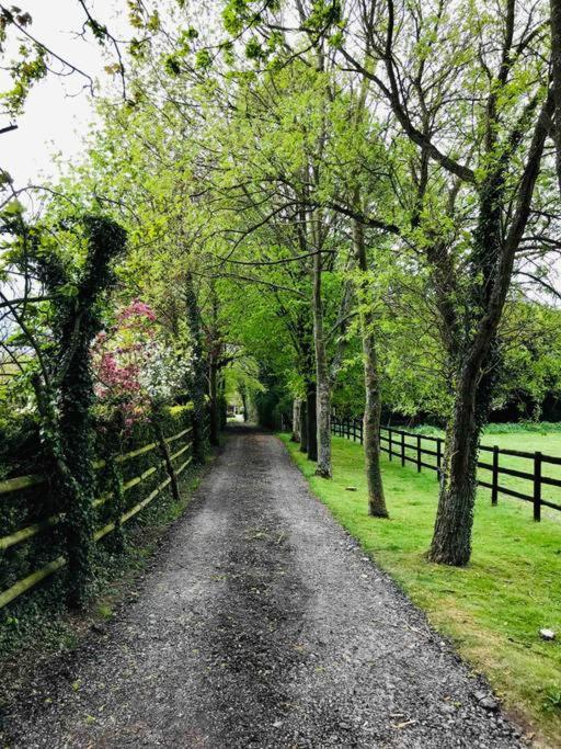 Northdown - Stunning On The Kent Northdowns Holiday home *